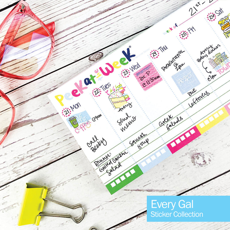 Best Planner Stickers | Family, Work, To-Dos, Events, Goals | 8 Styles - Denise Albright® 